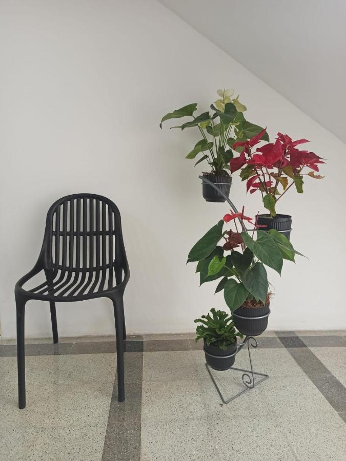 Hotel Boutique Estadio Medellin Ngoại thất bức ảnh